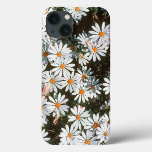 Overvloed van witte madeliefjes (Asteraceae) iPhone 13 Hoesje