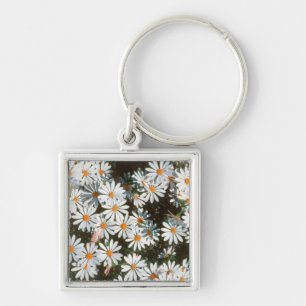 Overvloed van witte madeliefjes (Asteraceae) Sleutelhanger