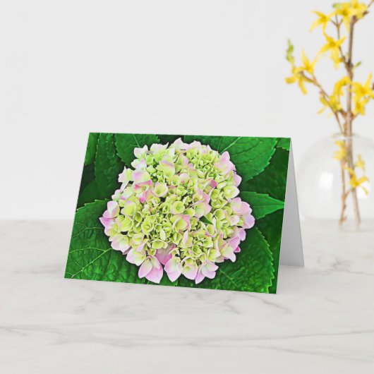 Overvloedige Hydrangea Scripture Kaart 1 Timothy 1 (Gele Bloem)