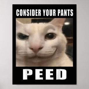 Overweeg uw broek plassen Gekke kat meme Mannen vr Poster