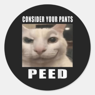 Overweeg uw broek plassen Gekke kat meme Mannen vr Ronde Sticker