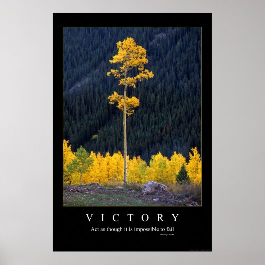 Overwinning Poster (Voorkant)