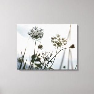 Overzicht van de Umbels Flowers - Floral Art Photo Canvas Afdruk