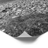 Overzicht van het nationale park Grand Teton (Hoek)