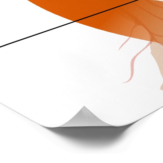 Overzicht van het Renin-Angiotensinesysteem (Hoek)