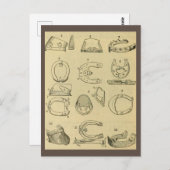  overzicht van soorten hoefijzers briefkaart (Voorkant / Achterkant)