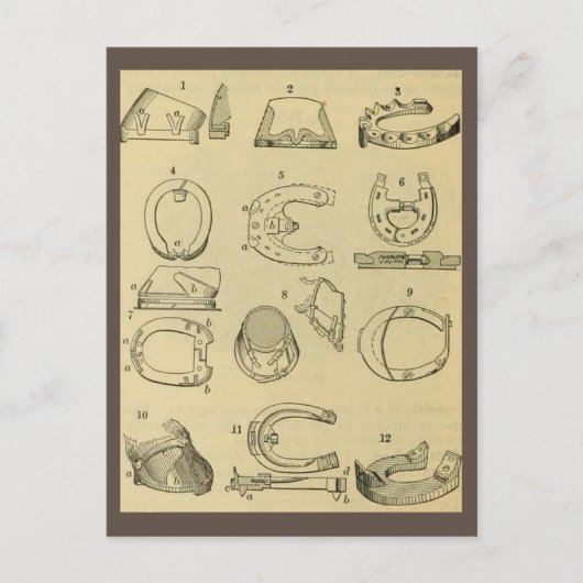  overzicht van soorten hoefijzers briefkaart (Voorkant)