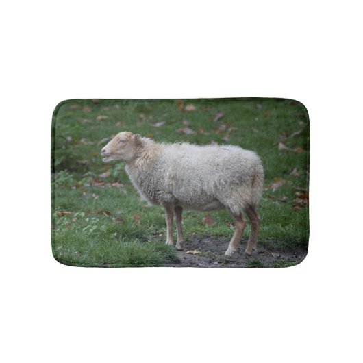 Ovis aries badmat (Voorkant)