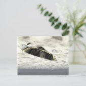 OVNI dans la carte postale de vol (Debout devant)