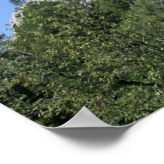 OVNI Salamander à Devils Tower Poster (Coin)