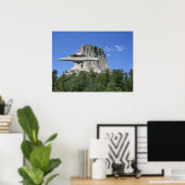 OVNI Salamander à Devils Tower Poster (Bureau à domicile)
