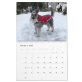 Owen superbe le calendrier du Schnauzer 2019 (Jan 2027)
