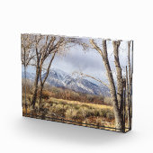 Owens Valley Mountain Uitzicht van Mt. Tom Fotoblokken (Rechts)