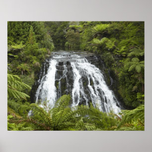 Owharoa-watervallen, Karangahake-kloof, bij Paeroa Poster