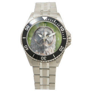 Owl_20180219_by_JAMFoto Horloge
