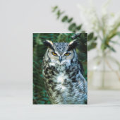 Owl (2) briefkaart (Staand voorkant)