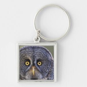 Owl 3 sleutelhanger
