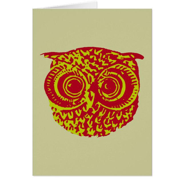 owl amazing birds (Devant)