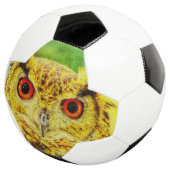 Owl Art Voetbal (Drie kwart)