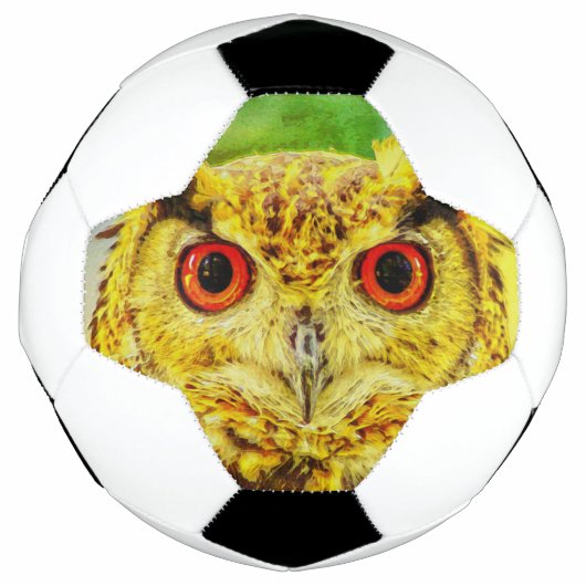 Owl Art Voetbal (Voorkant)