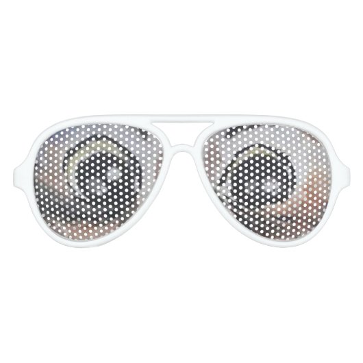 Owl Aviator Sunbril Big Eyes Aviator Zonnebril (Voorkant)