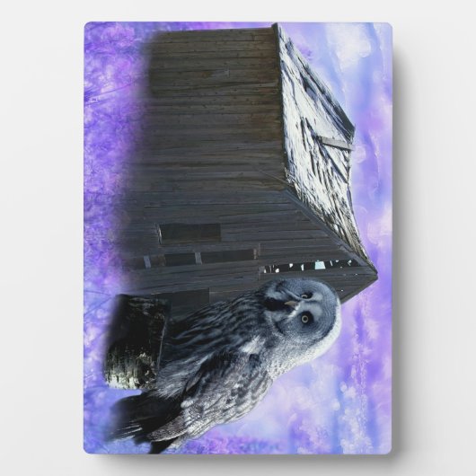 Owl Barn Shed Fotoplaat (voorkant)