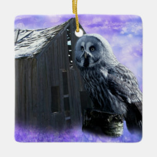 Owl Barn Shed Keramisch Ornament