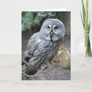 Owl Bedankkaart