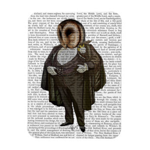 Owl bij de opera magneet