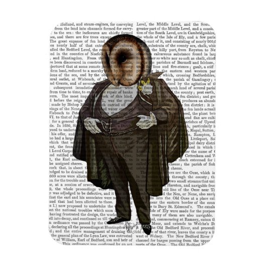 Owl bij de opera magneet (Verticaal)