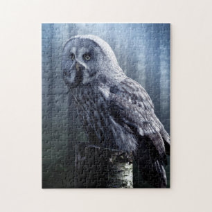 Owl Bird Animal Woodland Forest Natuur Legpuzzel