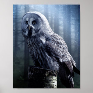 Owl Bird Animal Woodland Forest Poster