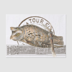  Owl Bird Brown ontkoppelingspunt Frans poststempe Tissuepapier