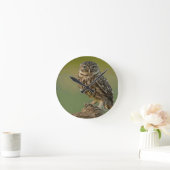 Owl Bird Eyes Tree Ronde Klok (Huis)