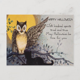 Owl Black Cat Full Moon Tree Naight Briefkaart