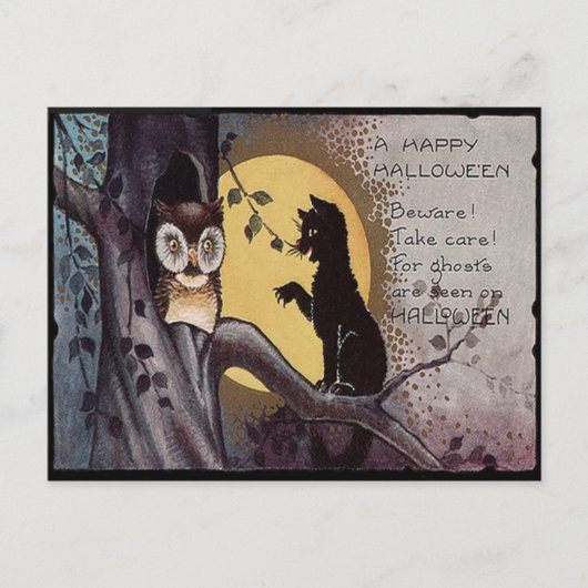 Owl Black Cat Full Moon Tree Naight Briefkaart (Voorkant)