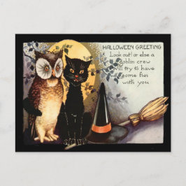 Owl Black Cat Full Moon Witch's Pet Broom Briefkaart