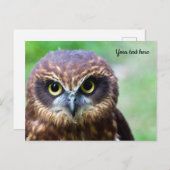 Owl Briefkaart (Voorkant / Achterkant)