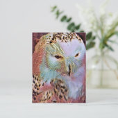 OWL BRIEFKAART (Staand voorkant)
