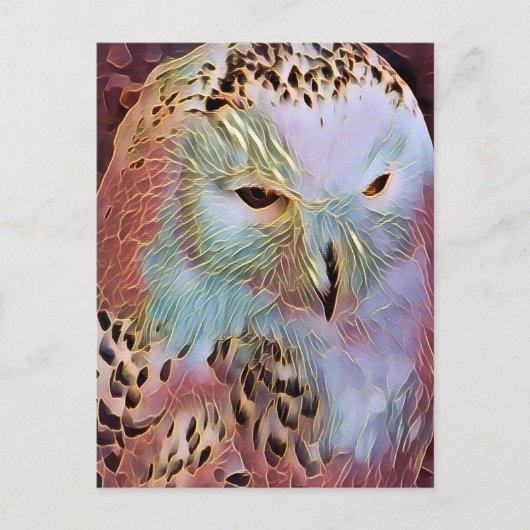 OWL BRIEFKAART (Voorkant)