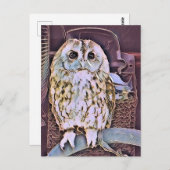 OWL BRIEFKAART (Voorkant / Achterkant)
