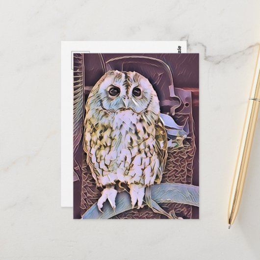 OWL BRIEFKAART (Voorkant / Achterkant in situ)