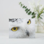 Owl Briefkaart (Staand voorkant)
