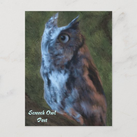Owl Briefkaart (Voorkant)
