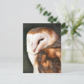 OWL BRIEFKAART (Staand voorkant)