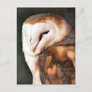 OWL BRIEFKAART