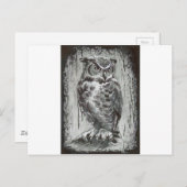 Owl Briefkaart (Voorkant / Achterkant)