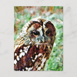 OWL BRIEFKAART