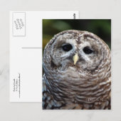 Owl Briefkaart (Voorkant / Achterkant)