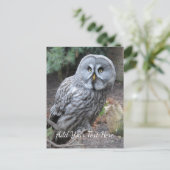 Owl Briefkaart (Staand voorkant)